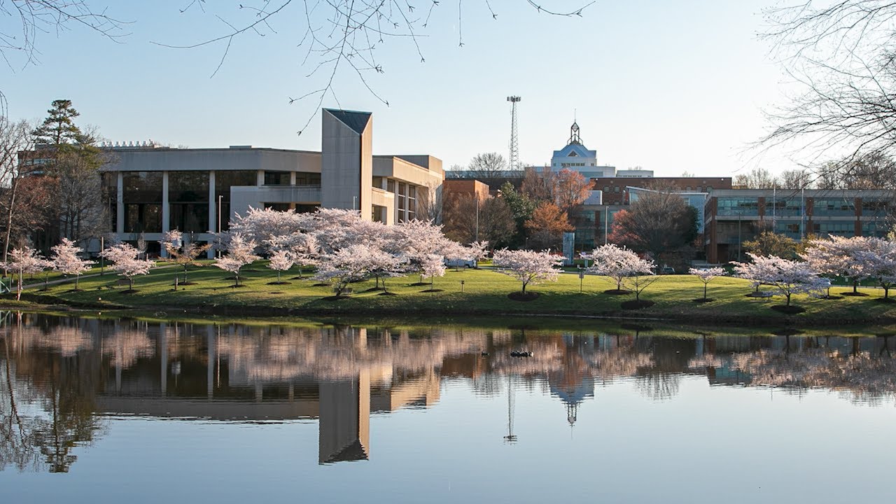 Still from Mason’s Iconic Cherry Blossoms and Arboretum feature