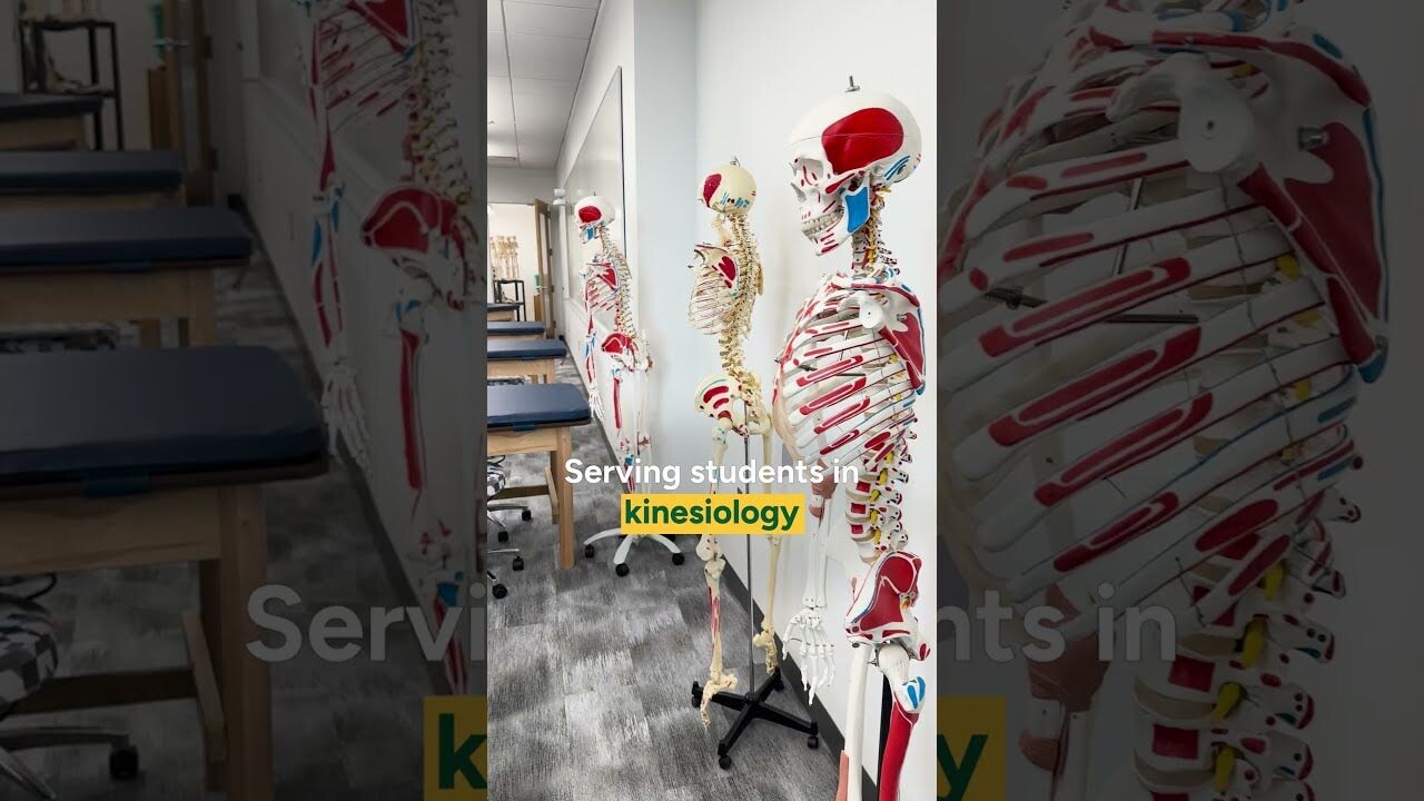 Anatomy classroom with skeleton models inside George Mason’s Life Sciences and Engineering Building